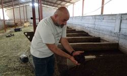 Bahçesinde ürettiği solucan gübresi kazanca dönüştü