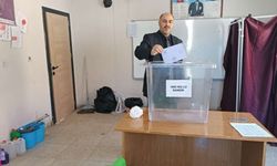 Başkale'de 4 mahallede muhtarlık seçimi yeniden yapıldı