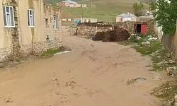 Başkale'de sağanak sele yol açtı