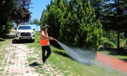 Elazığ'da ilaçlama çalışmaları aralıksız devam ediyor