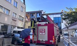 Erzincan'da kargaların yavru nöbeti görenleri şaşırttı