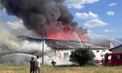 Erzincan'da mobilya deposunda yangın paniği
