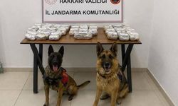 Hakkari'de 21 kilo 650 gram toz esrar yakalandı