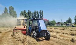 Hasköy'de çiftçilerin kışlık yem mesaisi devam ediyor