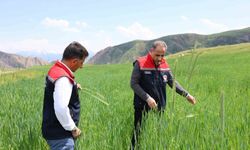 Kars'ta fenolojik gözlem çalışmaları devam ediyor