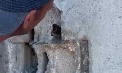 Kars'ta sıva altında mahsur kalan yavrular ustanın dikkatiyle kurtuldu