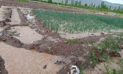 Malatya’da dolu yağışı tarım arazilerini vurdu