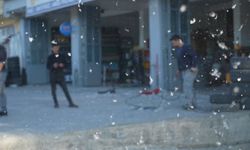 Muş'ta kavak polenleri esnafa zor anlar yaşatıyor