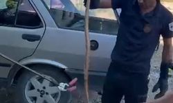 Park halindeki otomobile giren yılan korkuttu
