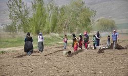 Tarladan hasada Erzincan’ın sessiz kahramanları