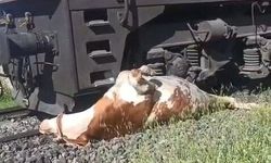 Tren çarpınca raylara sıkıştı, ekipler zamanla yarıştı