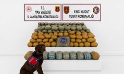 Van'da 291 kilogram toz esrar yakalandı