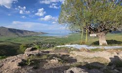 Van'ın koyları ve göl manzaralı mesire alanları doğaseverleri mest ediyor