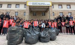 Yüksekova'da 400 kişi çevre temizliği için el ele verdi