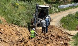 Yüksekova'da 70 kilometrelik doğal çalışması başladı