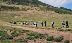 Tatvan’da Van Gölü için farkındalık yürüyüşü