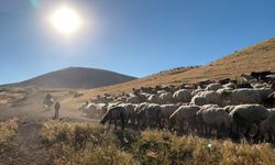 Nemrut eteklerinde kartpostallık yayla göçü