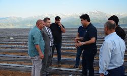 Tatvan Kaymakamı Demir, yeni açılan çilek bahçesini ziyaret etti