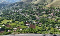 Bitlis'in yeşille iç içe mahallesi "8 ağustos " havadan görüntülendi