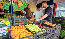 Ahlat’ta mevsim meyveleri tezgâhlara indi fiyatlar düşüyor