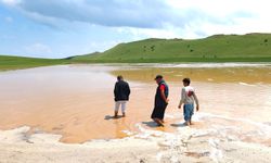 Ahlat'ta sel tarım arazilerini vurdu: Patates ve fasulye tarlaları sular altında kaldı
