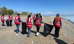 Van Gölü sahilinde çevre temizliği seferberliği