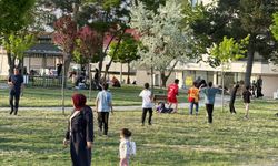Tatvan’da parklar hınca hınç doldu