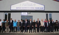 Bitlis’te 2 Bin Sokak Köpeğine Yeni Yaşam Alanı