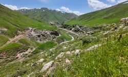 Bitlis yaylaları yazın yeşile büründü, doğaseverleri kendine hayran bırakıyor