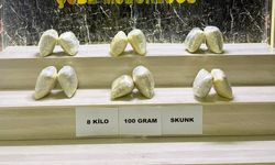 Bitlis'te 8 kilo 100 gram skunk ele geçirildi: 2 tutuklama