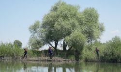 10 yaşındaki Berat'ı arama çalışmaları aralıksız devam ediyor