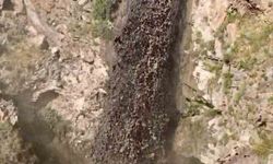 Ağrı Dağı’nda sağanak sonrası çamur yamaçlardan sel gibi aktı