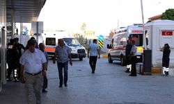 Arı sokması ölümcül alerjik reaksiyonlara yol açabilir