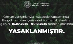 Bingöl'de ormanlara giriş yasağı kararı