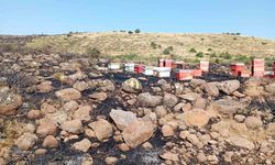 Elazığ'da arazide çıkan yangın arı kovanlarını kül etti