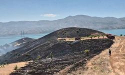 Elazığ'da çıkan arazi yangını kontrol altına alındı
