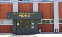 Elazığ'da iş makinesinin altında kalan işçi, yaşamını yitirdi