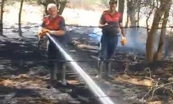 Elazığ'da örtü yangınına ekipler müdahale etti
