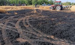 Elazığ'daki ekili tarlada çıkan yangın büyümeden söndürüldü