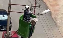 Elektrik direğinde mahsur kalan güvercin kurtarıldı