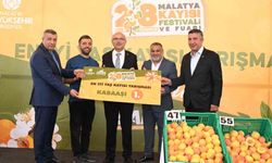 'En İyi Kayısı' yarışması yapıldı