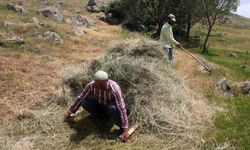 Erzincan'da vatandaşların kış hazırlığı sürüyor