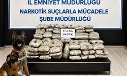 Hakkari'de 57 kilo 200 gram skunk yakalandı