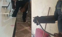 Hakkari'de eve giren yılan korkuttu