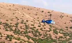 Malatya'daki orman yangınına havadan müdahale edildi