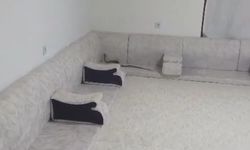 Misafir telaşı bir anda yılan paniğine dönüştü