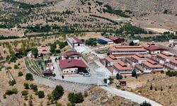 Sokak hayvanlarına umut oldu: 15 bin can tedaviyle sağlığına kavuştu