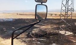Tunceli'de yangın ekili arazilere ulaşmadan kontrol altına alındı