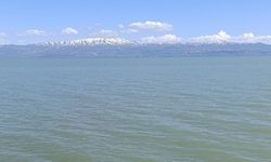 Van Gölü'nde yüzmek artık yasak