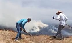 Yüksekova'da çıkan yangın bin balya otu küle çevirdi